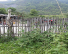 drn